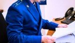 Кинешемская городская прокуратура направила в суд дело о незаконной рубке лесных насаждений